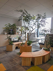 グローイングツリー