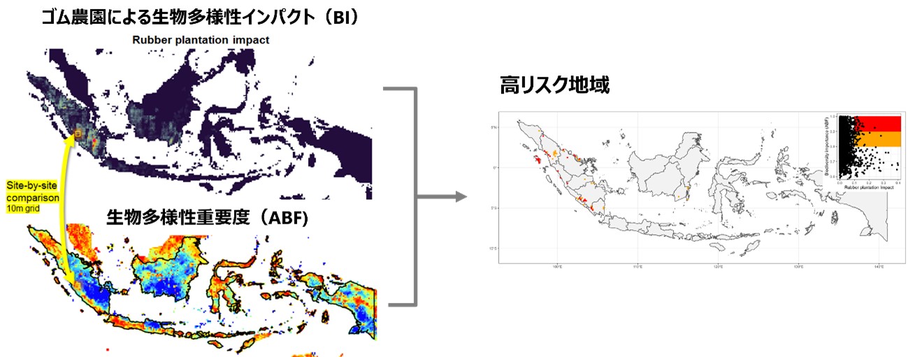 （アウトプットイメージ）天然ゴム産業の分析例