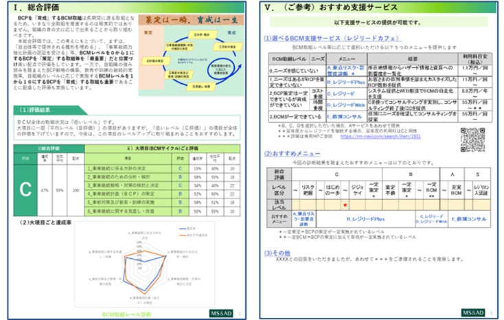 「BCM取組レベル診断」レポートイメージ